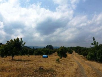 VENTA de FINCAS en PEREIRA