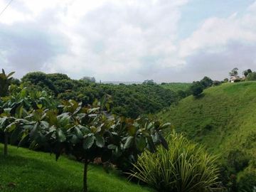 VENTA de FINCAS en PEREIRA