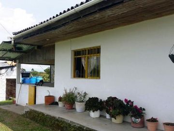 VENTA de FINCAS en PEREIRA