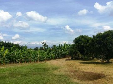 VENTA de FINCAS en PEREIRA