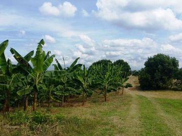 VENTA de FINCAS en PEREIRA