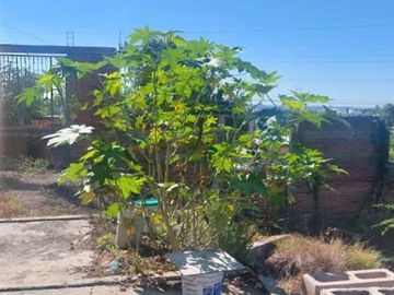 Casa /Terreno en venta Col. Rosario Uzarraga