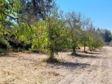 Parcela en Venta en Gilda Diaz Giron