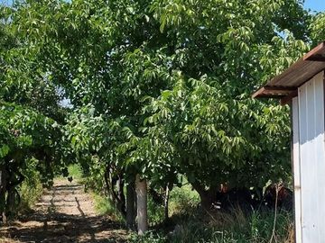 Parcela en Venta en Gilda Diaz Giron