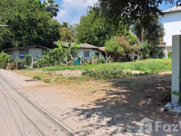 Land for sale in Pa Daet, Chiang Mai