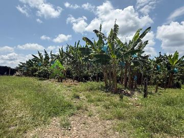 vendo finca turística y productiva de 36 cuadras en Quimbaya