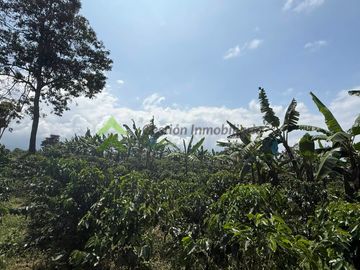 Venta Finca cafetera Montenegro Quindio