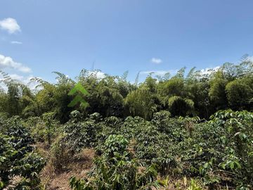 Venta Finca cafetera Montenegro Quindio