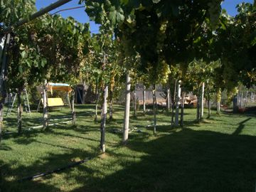 Casa sustentable en venta Tahuinco - Salamanca