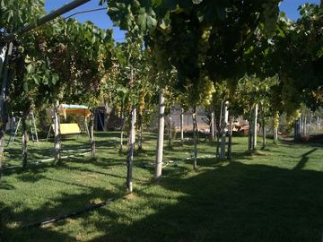Casa sustentable en venta Tahuinco - Salamanca