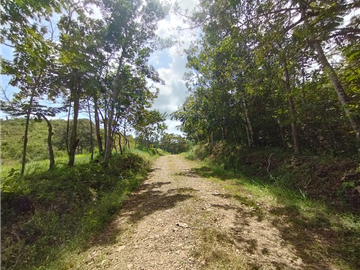 Finca en venta de 20.5  hectareas en El Limite - Capira (DR)
