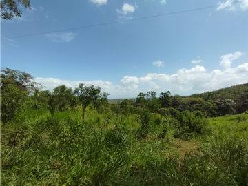 Finca en venta de 20.5  hectareas en El Limite - Capira (DR)