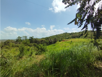 Finca en venta de 20.5  hectareas en El Limite - Capira (DR)