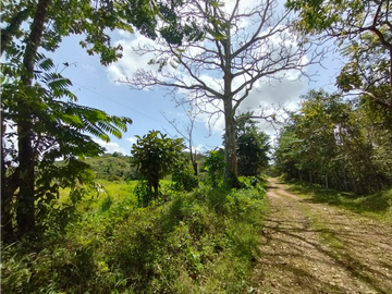 Finca en venta de 20.5  hectareas en El Limite - Capira (DR)
