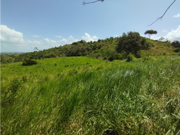 Finca en venta de 20.5  hectareas en El Limite - Capira (DR)