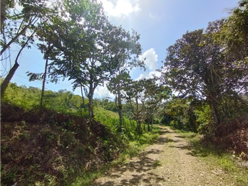 Finca en venta de 20.5  hectareas en El Limite - Capira (DR)