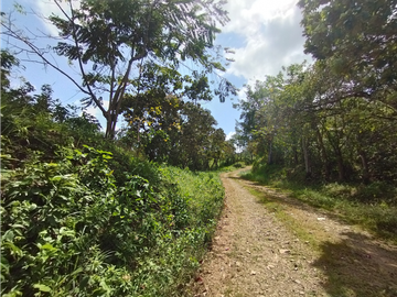 Finca en venta de 20.5  hectareas en El Limite - Capira (DR)