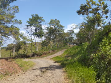 Finca en venta de 20.5  hectareas en El Limite - Capira (DR)
