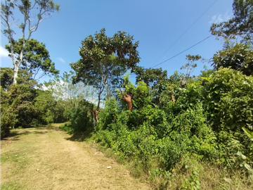 Finca en venta de 20.5  hectareas en El Limite - Capira (DR)