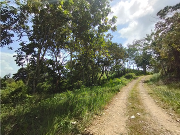 Finca en venta de 20.5  hectareas en El Limite - Capira (DR)