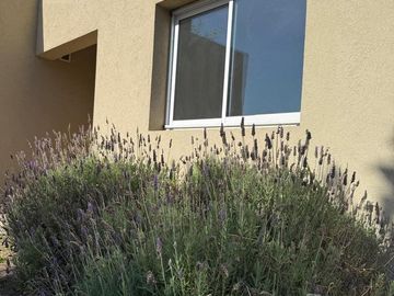 Venta - Casa 4/Cuatro Ambientes, Dependencia, Jardín - San Gabriel, Villanueva