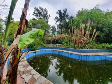 Quinta en  Canning, De Vedia 758