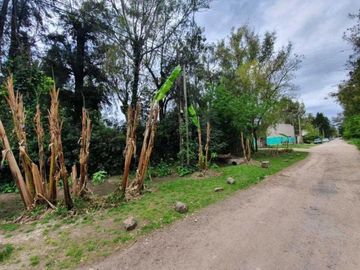 Quinta en  Canning, De Vedia 758
