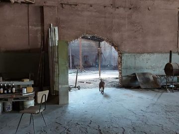 Galpón - La Plata