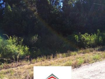 Chacra - Cerro Radal