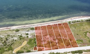 Exclusivos Terrenos Beach Front en Santa Clara, Yucatán