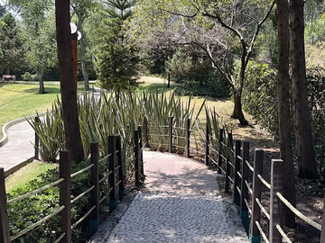 CASA EN CONDOMINIO EN VENTA OLIVAR DE LOS PADRES ALVARO OBREGON CDMX