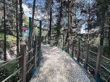 CASA EN CONDOMINIO EN VENTA OLIVAR DE LOS PADRES ALVARO OBREGON CDMX