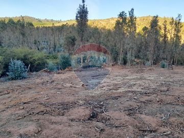 ¡Oportunidad única para Inversión en Tanhuao!