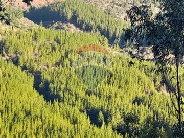 ¡Oportunidad única para Inversión en Tanhuao!