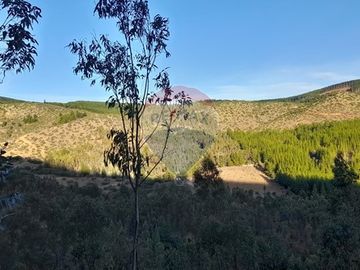 ¡Oportunidad única para Inversión en Tanhuao!