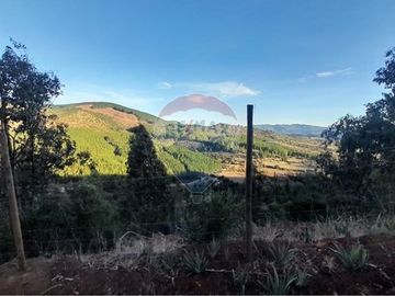¡Oportunidad única para Inversión en Tanhuao!