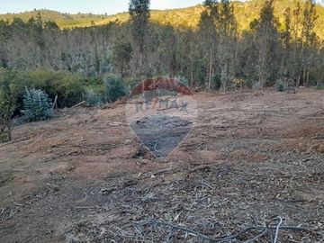 ¡Oportunidad única para Inversión en Tanhuao!