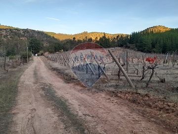 ¡Oportunidad única para Inversión en Tanhuao!