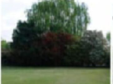 Terreno en La Alameda