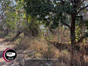 TERRENO EN VENTA REAL DE OAXTEPEC