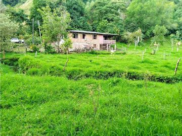 Se Vende Casa Campestre En Valle De Cocora