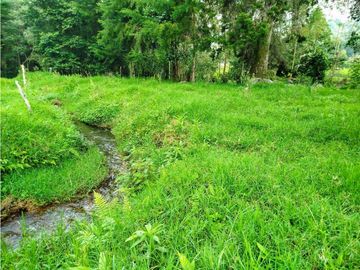 Se Vende Casa Campestre En Valle De Cocora
