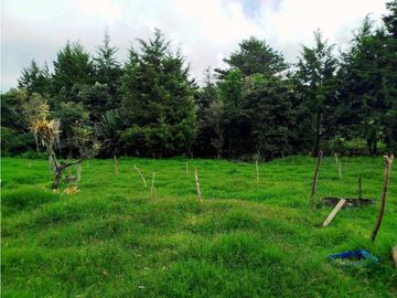 Se Vende Casa Campestre En Valle De Cocora