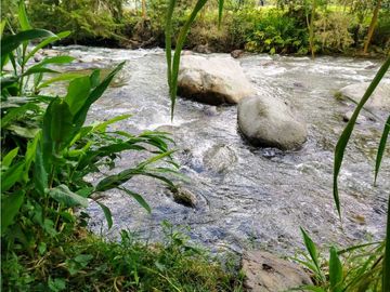 Se Vende Casa Campestre En Valle De Cocora