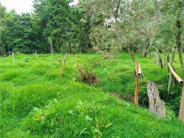 Se Vende Casa Campestre En Valle De Cocora
