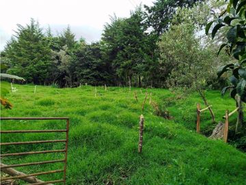 Se Vende Casa Campestre En Valle De Cocora