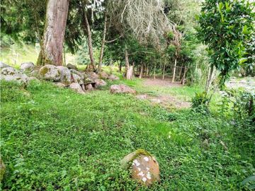 Se Vende Casa Campestre En Valle De Cocora
