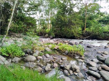 Se Vende Casa Campestre En Valle De Cocora