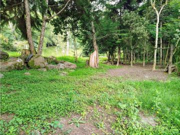 Se Vende Casa Campestre En Valle De Cocora