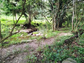Se Vende Casa Campestre En Valle De Cocora